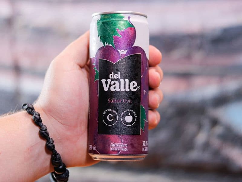 Suco de uva Del Valle 290ml
